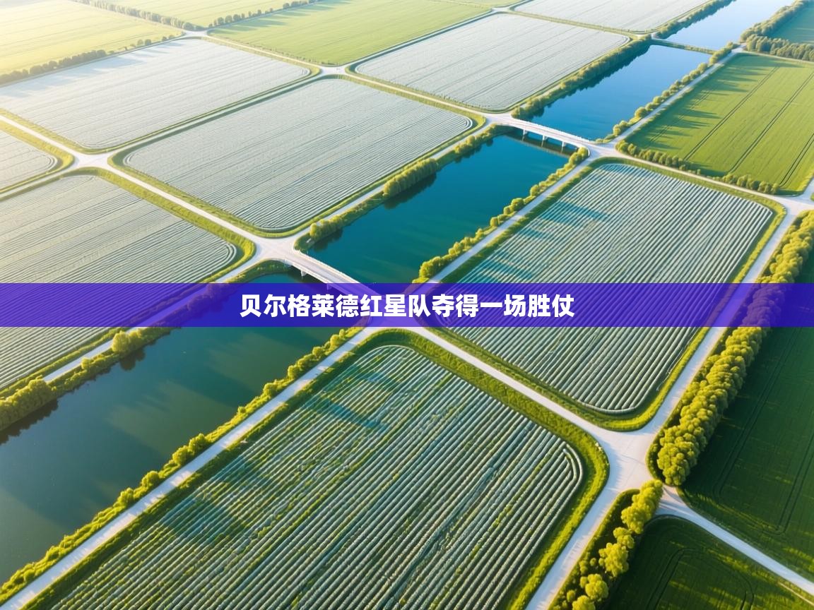 贝尔格莱德红星队夺得一场胜仗  第2张