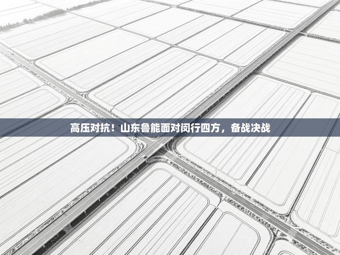 高压对抗！山东鲁能面对闵行四方，备战决战  第2张